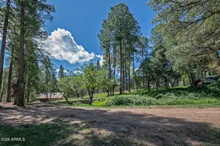 2097 N Fsr 289 --, Payson, AZ 85541 - Photo 78