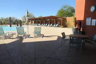 3866 E Cat Balue Dr, Phoenix, AZ 85050 - Photo 38