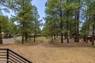 2433 Link Smith, Flagstaff, AZ 86005 - Photo 76