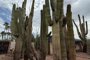 8712 E Main St, Mesa, AZ 85207 - Photo 52
