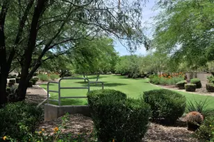 4351 E Selena Dr, Phoenix, AZ 85050 - Photo 40