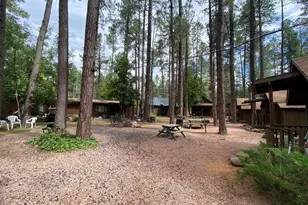 1441 E Christopher Creek Loop, Payson, AZ 85541 - Photo 28