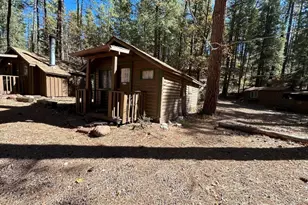 1441 E Christopher Creek Loop, Payson, AZ 85541 - Photo 8
