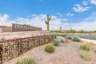 12106 E Chiricahua Pl, Gold Canyon, AZ 85118 - Photo 74