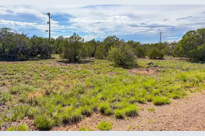 8543 & 8545 Loveridge Drive #-, Show Low, AZ 85901 - Photo 12