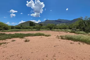 0 E Summer Trail, Hereford, AZ 85615 - Photo 14