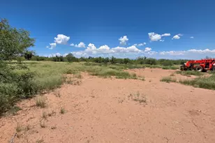 0 E Summer Trail, Hereford, AZ 85615 - Photo 2