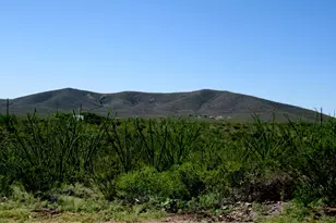 108 S 15th St, Tombstone, AZ 85638 - Photo 4