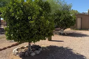21302 W Shalako Ln, Congress, AZ 85332 - Photo 20