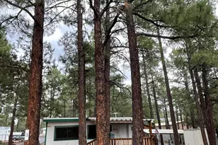 181 N 6th Dr, Show Low, AZ 85901 - Photo 4