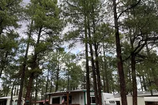 181 N 6th Dr, Show Low, AZ 85901 - Photo 2