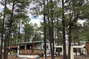 181 N 6th Dr, Show Low, AZ 85901 - Photo 1