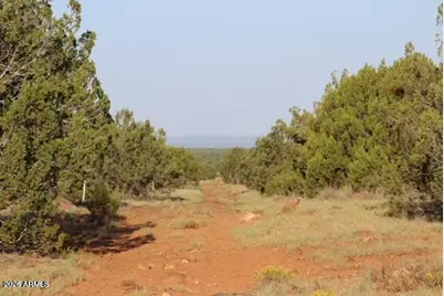 4 Parcels N Shady Oak 404-69-005 Road E #D, Show Low, AZ 85901 - Photo 8