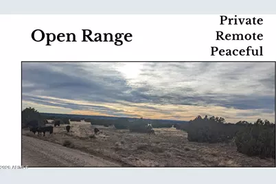 4 Parcels N Shady Oak 404-69-005 Road E #D, Show Low, AZ 85901 - Photo 4
