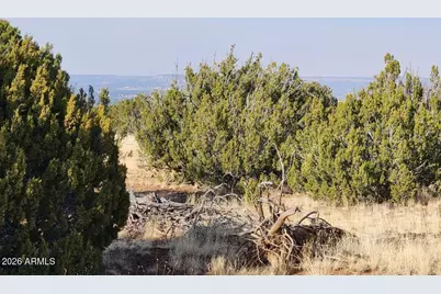 4 Parcels N Shady Oak 404-69-005 Road E #D, Show Low, AZ 85901 - Photo 14