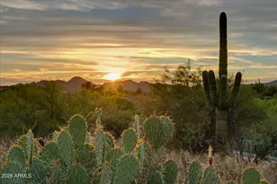 6880 E Stevens Rd, Cave Creek, AZ 85331 - Photo 36