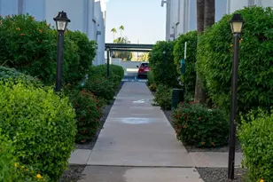 8588 E Indian School Rd, Scottsdale, AZ 85251 - Photo 24