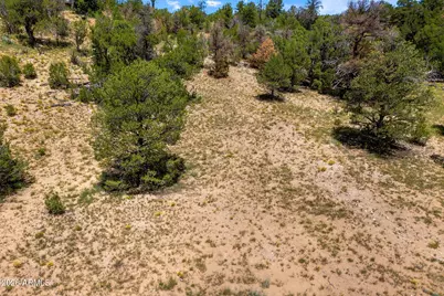 3620 Zane Grey Trail #42, Overgaard, AZ 85933 - Photo 2