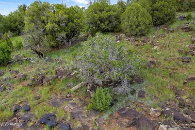 8281 &8283 Ridge Drive #11, Show Low, AZ 85901 - Photo 2
