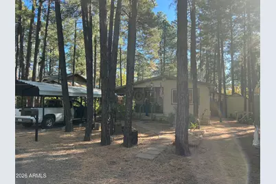 261 N Powder Horn Lane, Lakeside, AZ 85929 - Photo 10