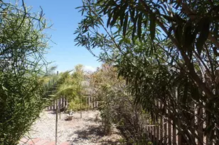21817 W Harding Ave, Wittmann, AZ 85361 - Photo 26