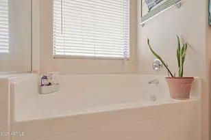 15933 W Mauna Loa Ln, Surprise, AZ 85379 - Photo 26
