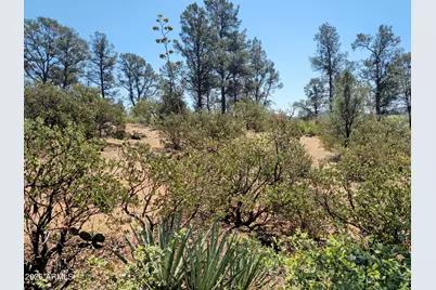 2400 E Rim Club Drive #105, Payson, AZ 85541 - Photo 4