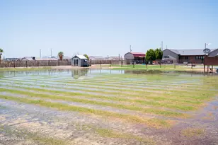 5527 S 225th Ave, Buckeye, AZ 85326 - Photo 60