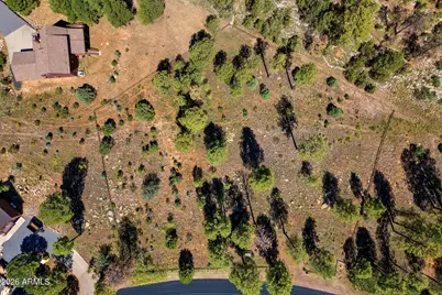 2294 Constellation Lane #94, Overgaard, AZ 85933 - Photo 2