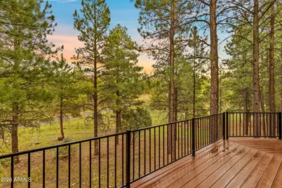 3579 Starlight Drive, Happy Jack, AZ 86024 - Photo 8