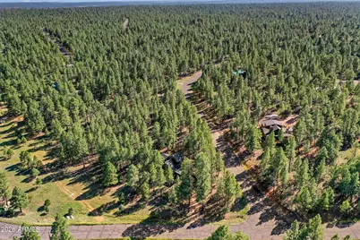 3579 Starlight Drive, Happy Jack, AZ 86024 - Photo 40
