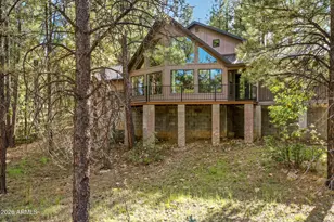 3579 Starlight Dr, Happy Jack, AZ 86024 - Photo 48