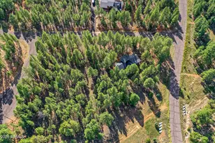 3579 Starlight Dr, Happy Jack, AZ 86024 - Photo 42
