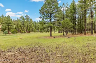3579 Starlight Dr, Happy Jack, AZ 86024 - Photo 58