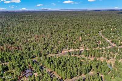 3579 Starlight Drive, Happy Jack, AZ 86024 - Photo 44