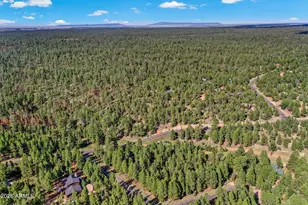 3579 Starlight Dr, Happy Jack, AZ 86024 - Photo 44