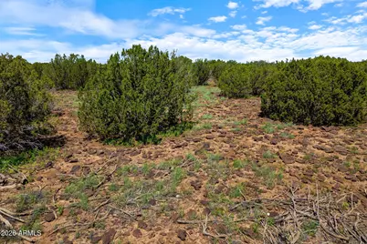 9104 N Gample Lane #-, Show Low, AZ 85901 - Photo 20
