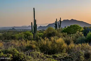 39494 N 105th St, Scottsdale, AZ 85262 - Photo 1