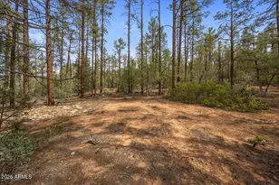 Tbd Pine Needle Dr, Show Low, AZ 85901 - Photo 1