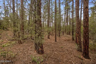 Tbd Pine Needle Drive #-, Show Low, AZ 85901 - Photo 2