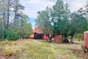 1584 Willow Mountain Rd, Happy Jack, AZ 86024 - Photo 10