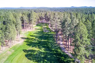 2267 Link Smith, Flagstaff, AZ 86005 - Photo 34