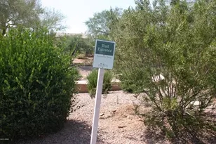 4827 E Mossman Rd, Phoenix, AZ 85054 - Photo 18