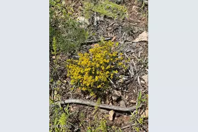 4367 Sunset Ridge Loop #178, Happy Jack, AZ 86024 - Photo 12