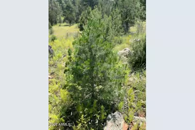 4367 Sunset Ridge Loop #178, Happy Jack, AZ 86024 - Photo 14