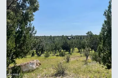 4367 Sunset Ridge Loop #178, Happy Jack, AZ 86024 - Photo 1