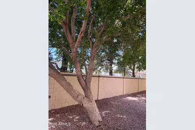 30 E Brown Road #Unit 1044, Mesa, AZ 85201 - Photo 32