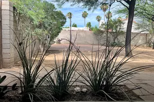 117 N Sawtelle Ave, Tucson, AZ 85716 - Photo 54