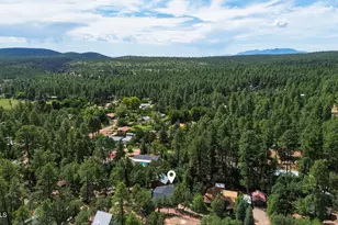 6401 W Randall Dr W, Pine, AZ 85544 - Photo 48