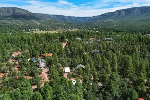 6401 W Randall Dr W, Pine, AZ 85544 - Photo 24